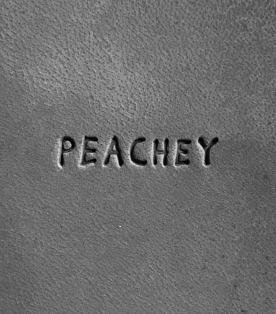 Leonard Bailey's Copy Press – Peachey Conservation